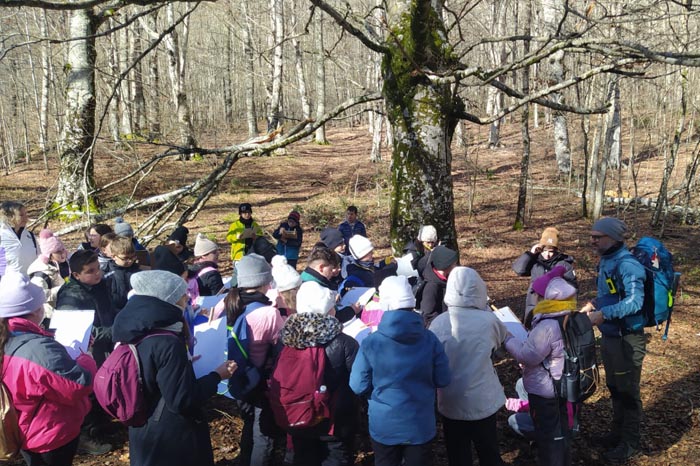 bosco di faggi a Bosco Magnano